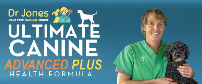 Dog Health Supplement: Ultimate Canine