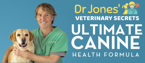 Dog Health Supplement: Ultimate Canine