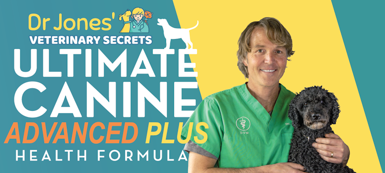 Dog Health Supplement: Ultimate Canine